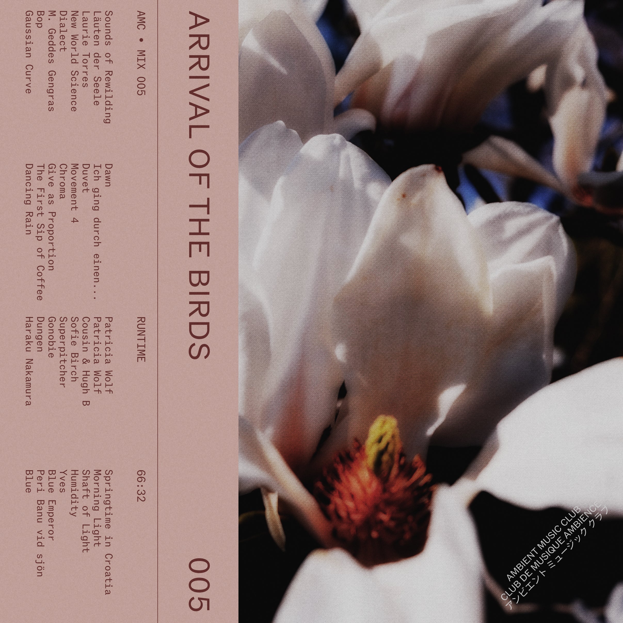 Arrival of the Birds • AMC 005